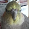 かぼママさんの写真